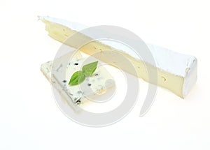 Carman Bell cheese and blue cheese photo