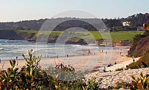 Carmel Beach