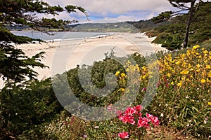 Carmel Beach, California