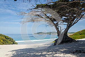 Carmel River State Beach