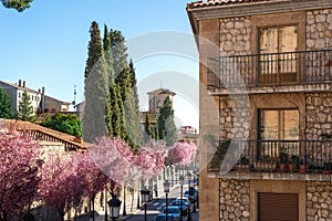 Carmen de Abajo Church - Salamanca, Spain photo