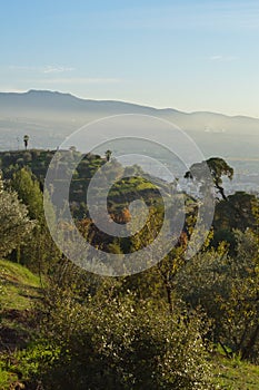 Carmen de los Martires Park in Granada, Spain