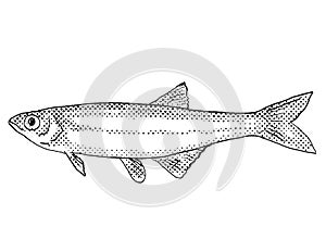 Carmine shiner or Notropis percobromus Freshwater Fish Cartoon Drawing