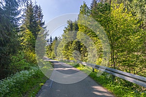 Carna Wiselka road journey in green forest sunlight landscape. Forest road way with sunlight. Path in sunlight