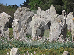 Carnac megalith alignments photo