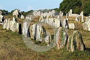 Carnac megaliths photo