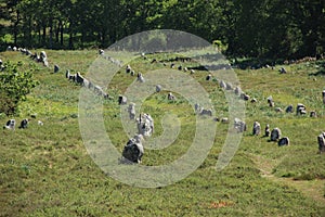 Carnac stones in the Kermario alignment in north western France