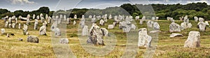 Carnac stones