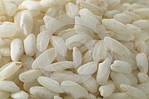 Carnaroli risotto rice