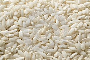 Carnaroli risotto rice