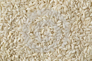 Carnaroli risotto rice