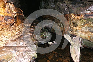 Carnarvon Gorge Underground
