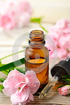 Carnation absolute essential oil and pink flowers on the wooden table