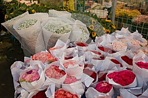 Carnation and babysbreath for sale at flower market in Chengdu.