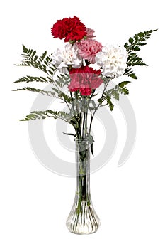 Carnation Bouquet