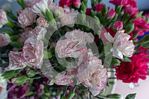 Carnation combination-Flower arrangement-