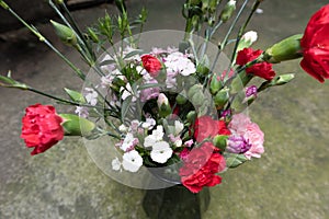 Carnation combination-Flower arrangement-