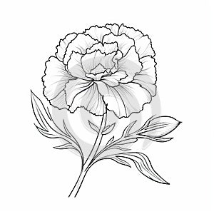 Carnation Flower Outline Handdrawn Illustration For Coloring