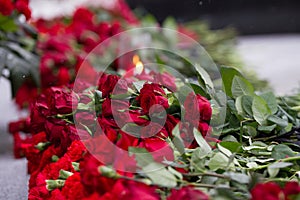 Carnation flowers symbol of mourning - candle in the wind and red flower on the monument, close up