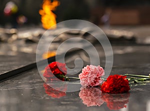 Carnations flowers on the monument of eternal fire - Victory Day