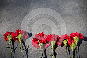 Carnations on a gray granite slab