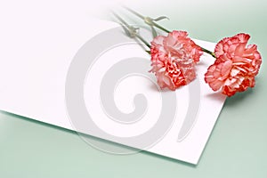 Carnations and a note