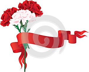 Carnations with a ribbon