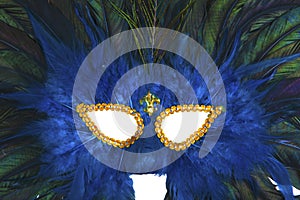 Carnaval Mask Close-Up