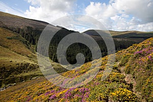 Carneddau Snowdonia