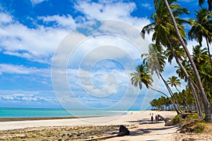 Carneiro Beach, Pernambuco