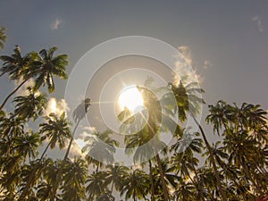 Carneiros Beach, Pernambuco, Brazi