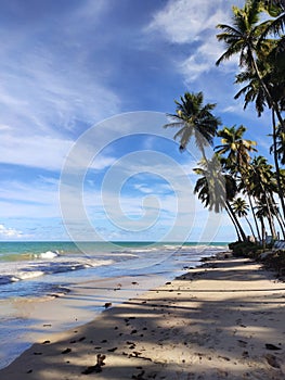 Carneiros Beach in TamandarÃÂ©, Pernambuco - Brazil photo
