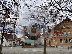 Carneval celebration in south germany