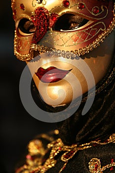 Carnevale Mask Close Up