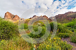 Carney Springs Trail is located in the remote area of the Superstition Mountain Wilderness.