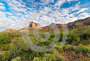 Carney Springs Trail is located in the remote area of the Superstition Mountain Wilderness.