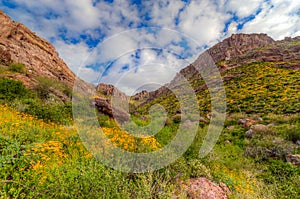 Carney Springs Trail is located in the remote area of the Superstition Mountain Wilderness.