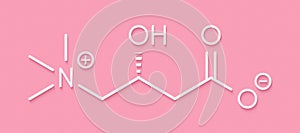 Carnitine food supplement molecule, chemical structure Skeletal formula.