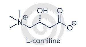 Carnitine food supplement molecule, chemical structure Skeletal formula.