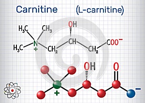 Carnitine L-carnitine molecule. Structural chemical formula an