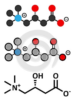 Carnitine molecule, chemical structure. Often found in nutritional supplements. Natural food sources include red meat and dairy