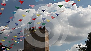 Carnival celebrate banner party flags