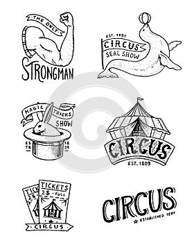 Carnival Circus badge. Banner or poster with animals. strongman and seal, hare in the hat, magic in the tent. festival