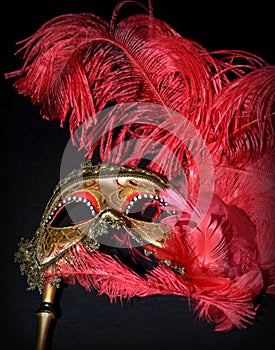 Carnival mask