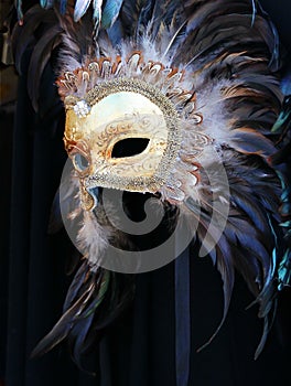 Carnival mask, Venice