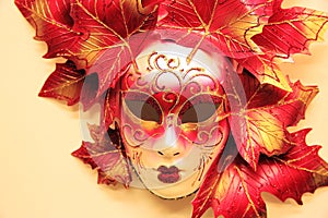 Carnival Mask, Venice, Italy