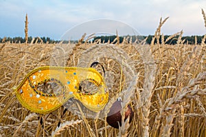 Carnival mask in wheat