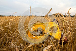 Carnival mask in wheat