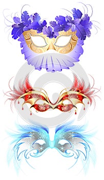 Carnival masks with feathers