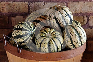 Carnival squash